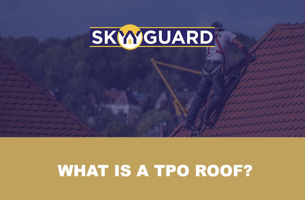 What is a TPO Roof?